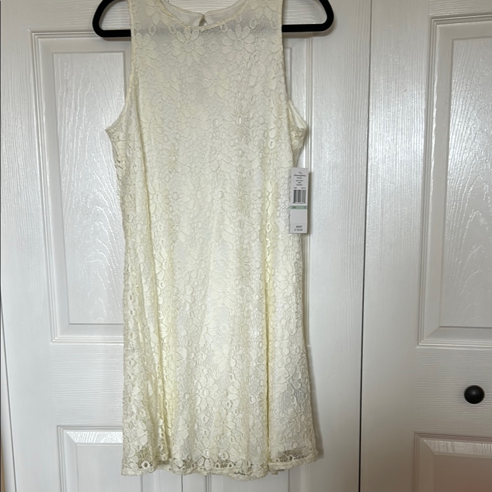 Sharagano Cream Sleeveless Lace Dress